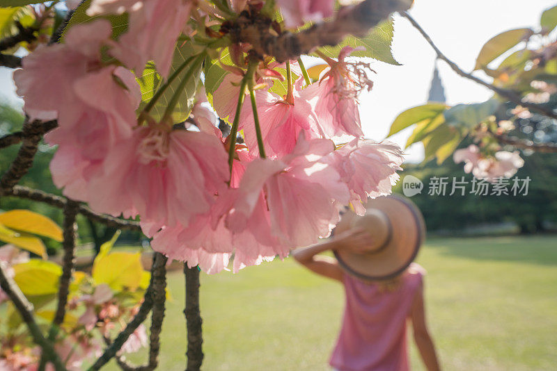 樱花树下的年轻女子