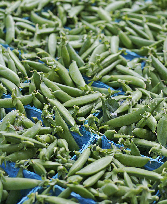 在农贸市场展出的小豌豆