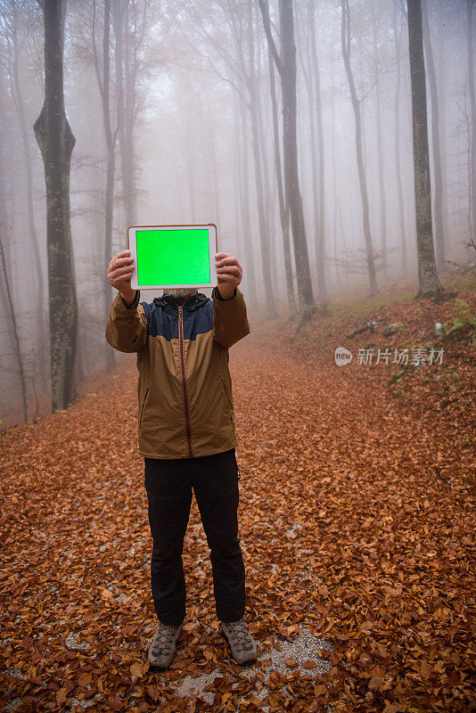 高级男子持有数字平板电脑与绿色屏幕在他的面前，秋天山毛榉森林，欧洲