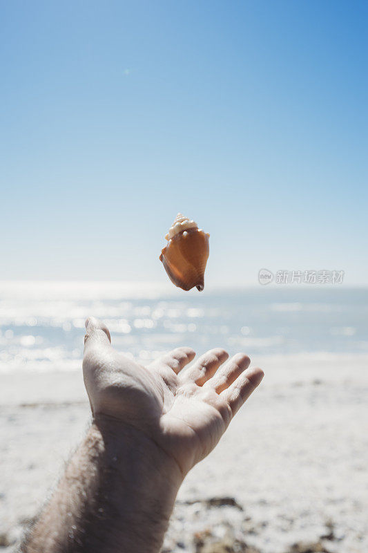 在海滩上玩贝壳