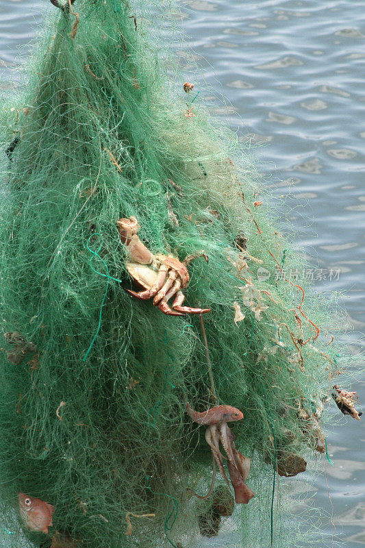 纠结的绿色渔网的细节
