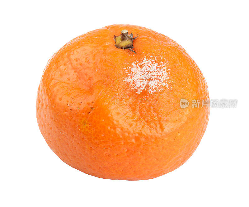 一个发霉的橘子孤立在白色的背景上