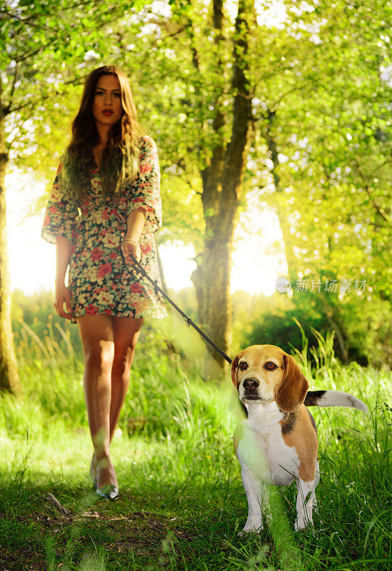 一个年轻女人和一只小猎犬在树林里