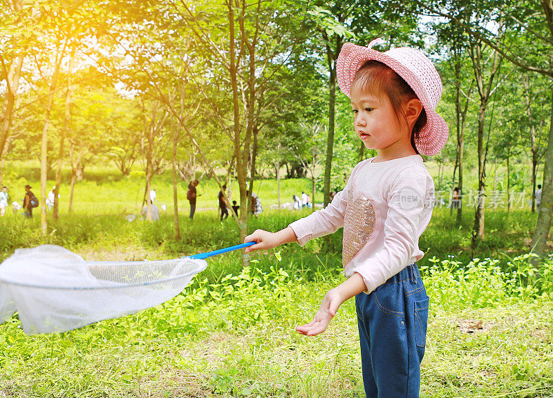 亚洲女孩在田野里与昆虫网在夏天。