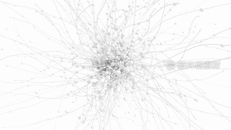 白色上的抽象网络