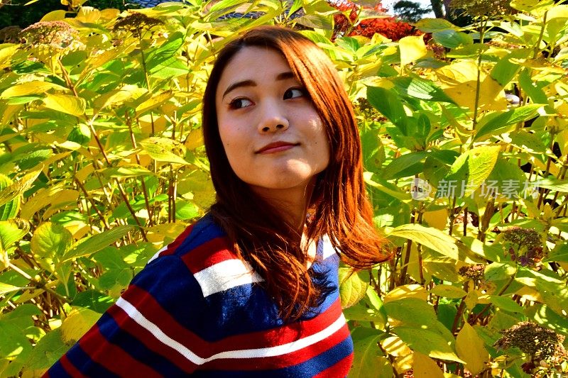 年轻的日本女人和绣球花叶子的秋天颜色