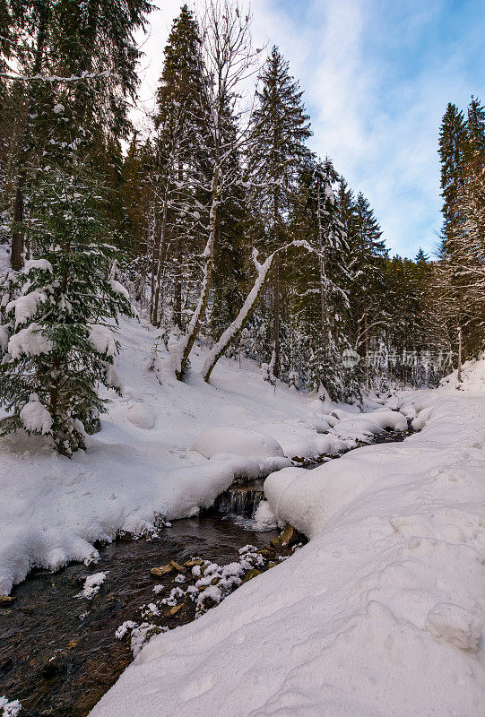 冬季森林中有小瀑布的小溪