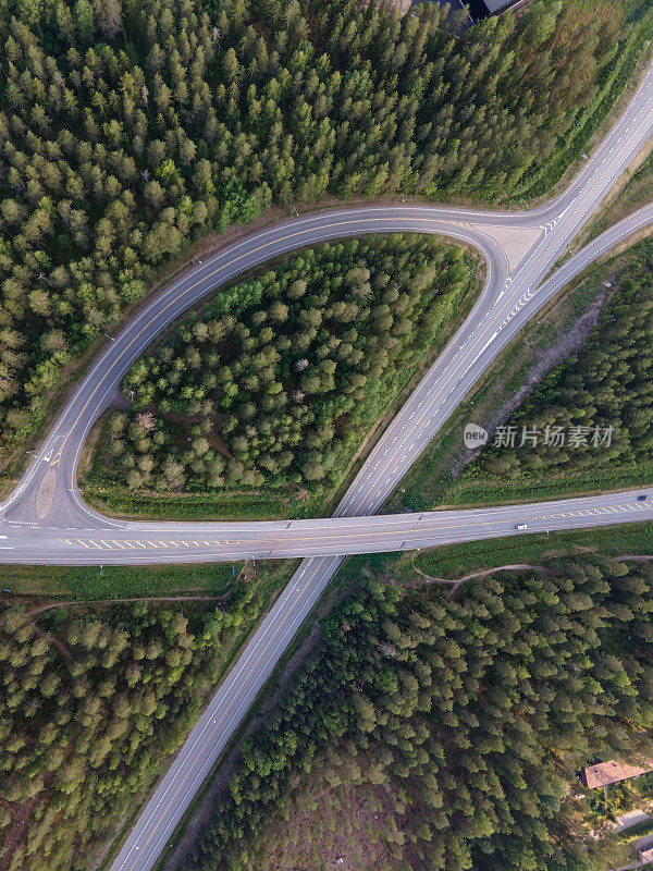 田园诗般的蜿蜒道路穿过芬兰的翠绿松林