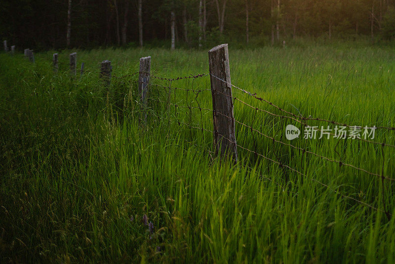 近距离拍摄干草地里的篱笆柱