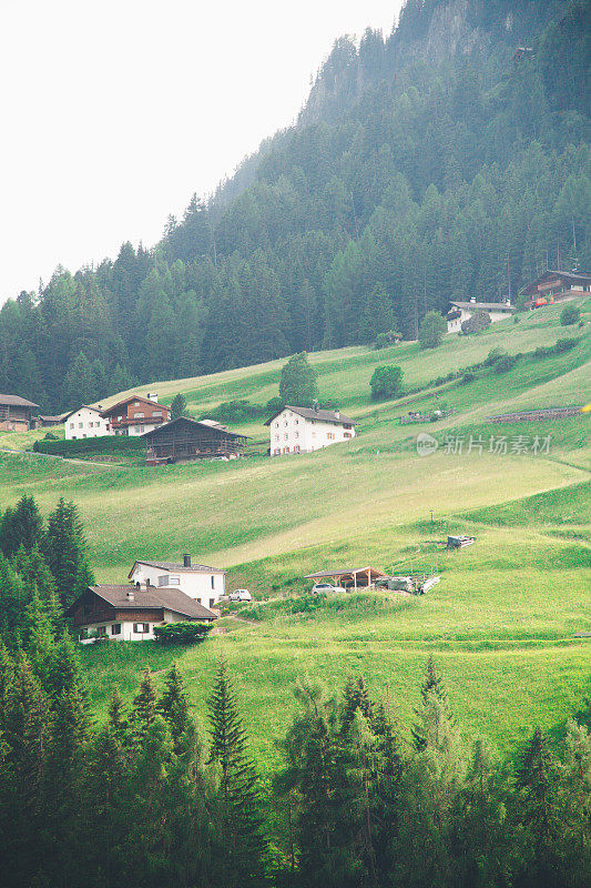 垂直的绿色自然草甸奥尔塞阿尔卑斯村草甸日出，Dolomites，意大利泰罗尔