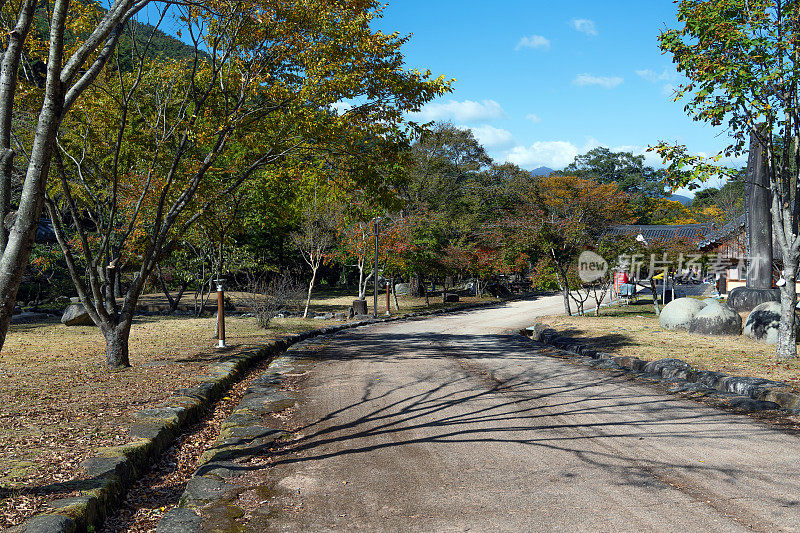 松光沙寺入口处秋叶飘落