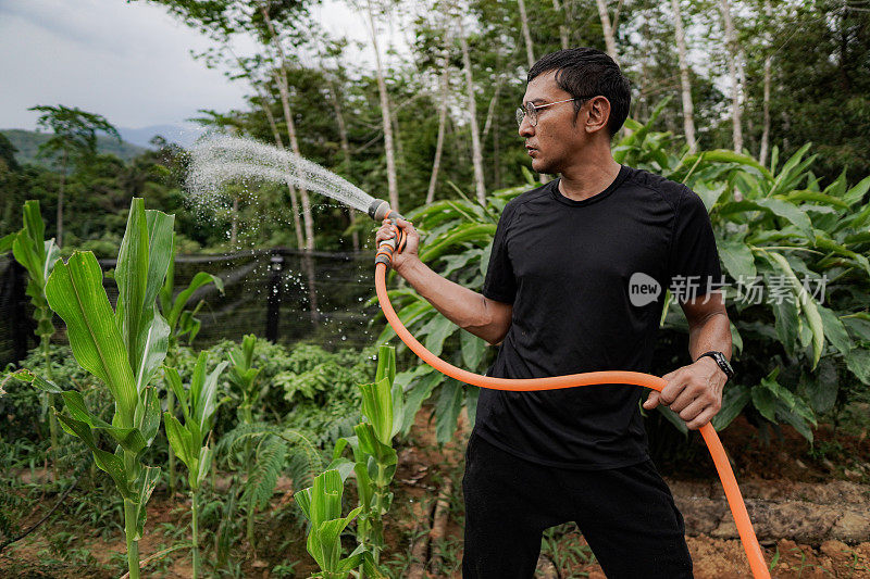 英俊的男性农民穿着黑色和浇水植物在农村农场