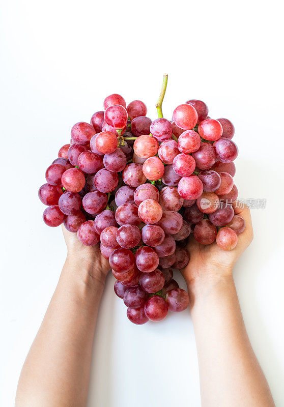 葡萄丰收。捧着成熟的红葡萄