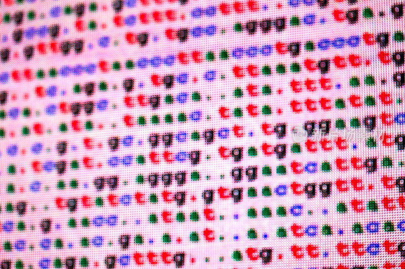 DNA编码在大的LED屏幕上