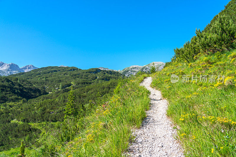 Triglav国家公园风景优美的山地景观