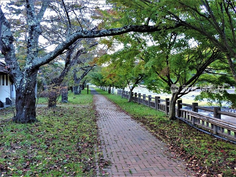 日本。十月。时间正好在日落之前。公园里的小巷。