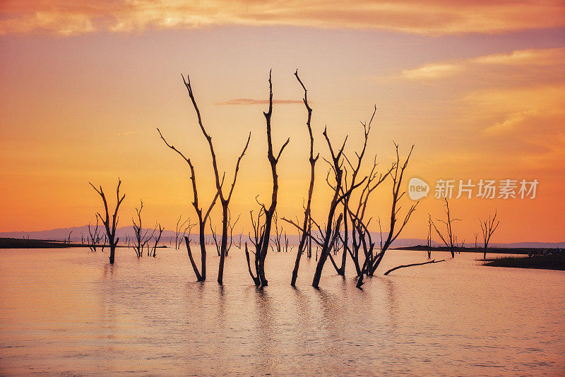 津巴布韦卡里巴湖的日落