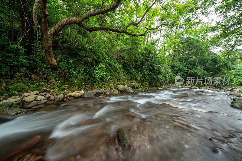 林间溪流，自然风光