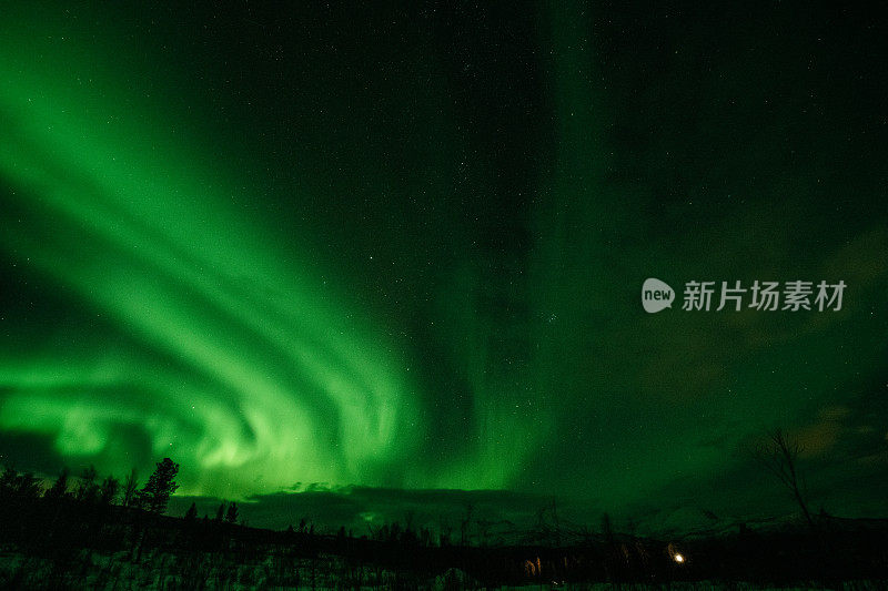 北极光在夜空中，山峦和云杉的轮廓