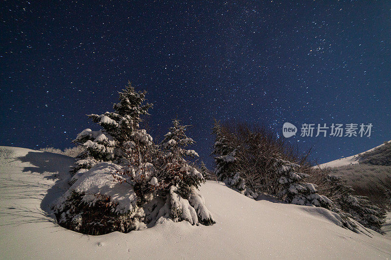 壮丽的星空笼罩着冬日的山景。夜景。月光下美丽的高大冷杉。喀尔巴阡山,乌克兰,欧洲。