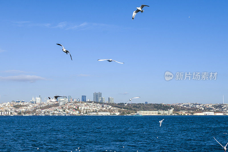 美丽的城市是?stanbul，土耳其