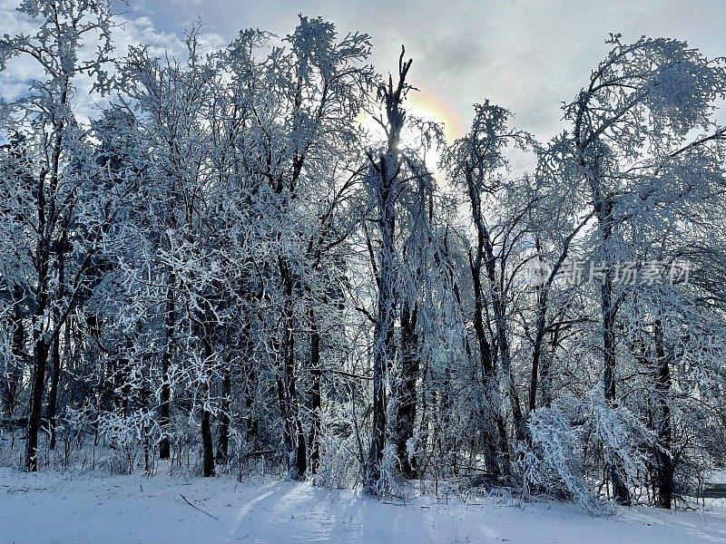 谢南多厄国家公园-阿巴拉契亚步道-冬季雪景