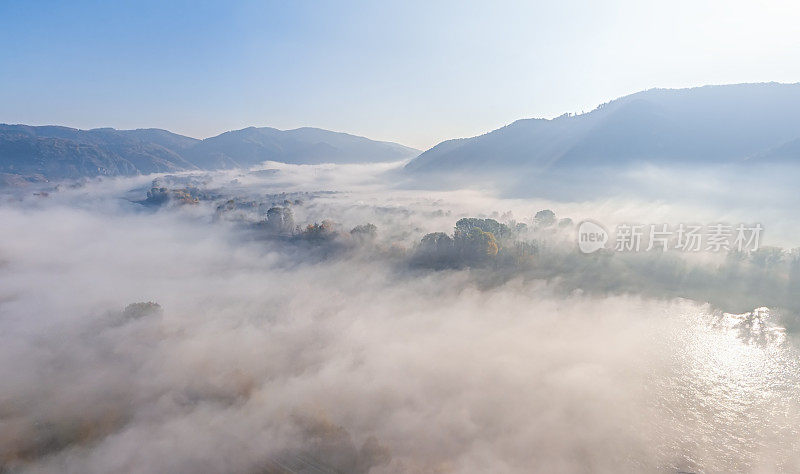 多瑙河上空晨雾的航拍全景图。奥地利的韦森基兴