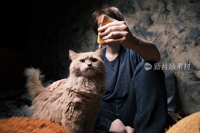 猫的主人正在用麦芽浆抚摸、梳理和喂猫