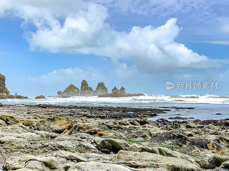 莫塔基海滩靠近狗仔队国家公园，新西兰