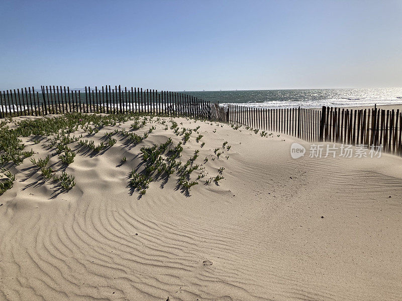 晴天，海风吹过海边的沙丘