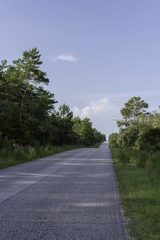 俯瞰直铺道路的右边缘丘陵沙松林与云在遥远的天空