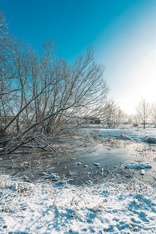 一个寒冷的早晨，这个季节的第一层雪