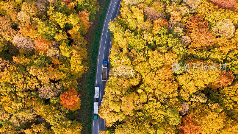 乡村公路上的交通