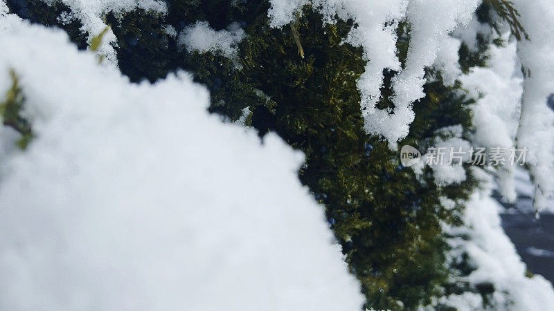 在美国西部的灌木景观的冬季积雪的观点系列照片