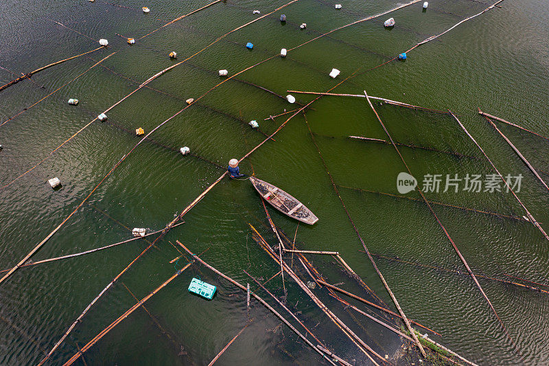 在泉乡河建牡蛎养殖场