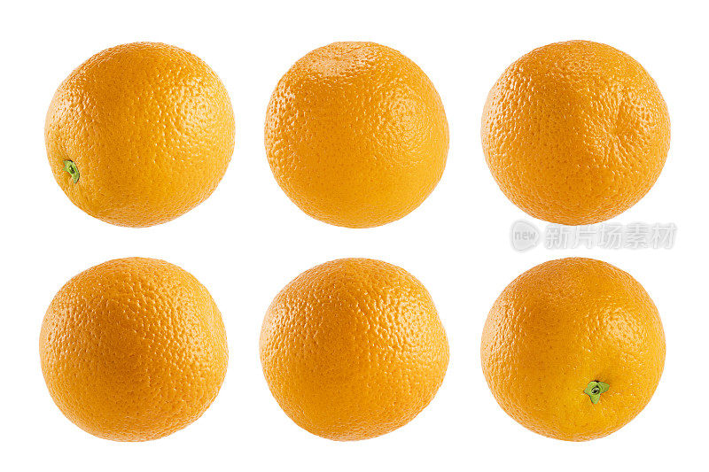 多汁的橙子收藏。整个水果特写，不同的侧面，孤立在白色背景上，工作室。热带新鲜柑橘类水果作为广告、卡片、海报的设计元素。