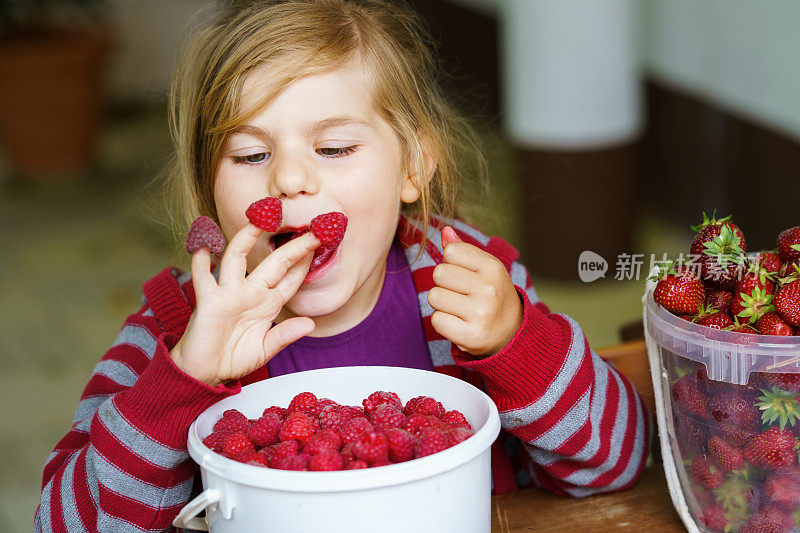 快乐的学龄前小女孩吃着健康的草莓和覆盆子。微笑的孩子拿着花园或田野里成熟的浆果。孩子们的健康食品，孩子们。