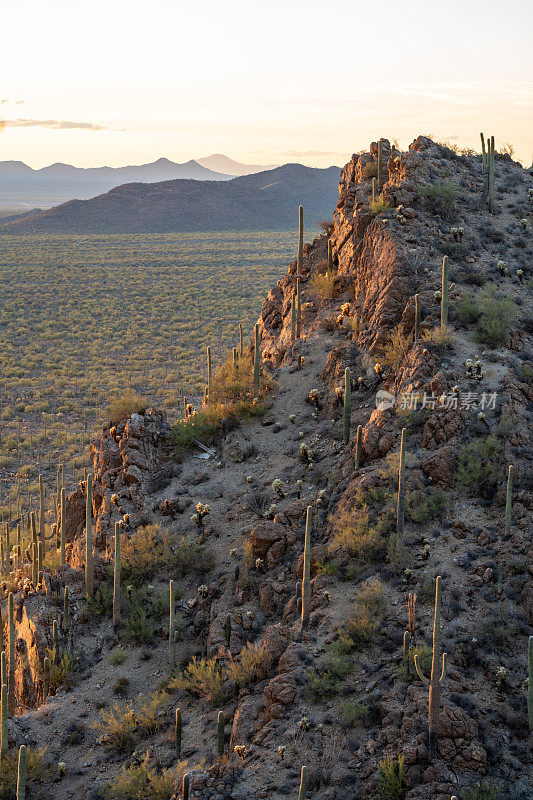日落时分的盖茨山口——亚利桑那州图森