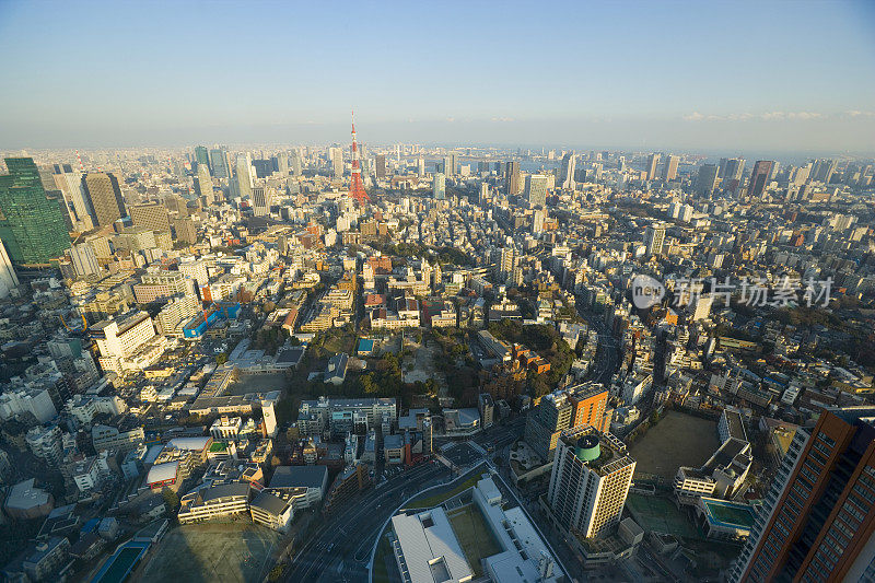 东京塔和建筑物的鸟瞰图，东京，日本。