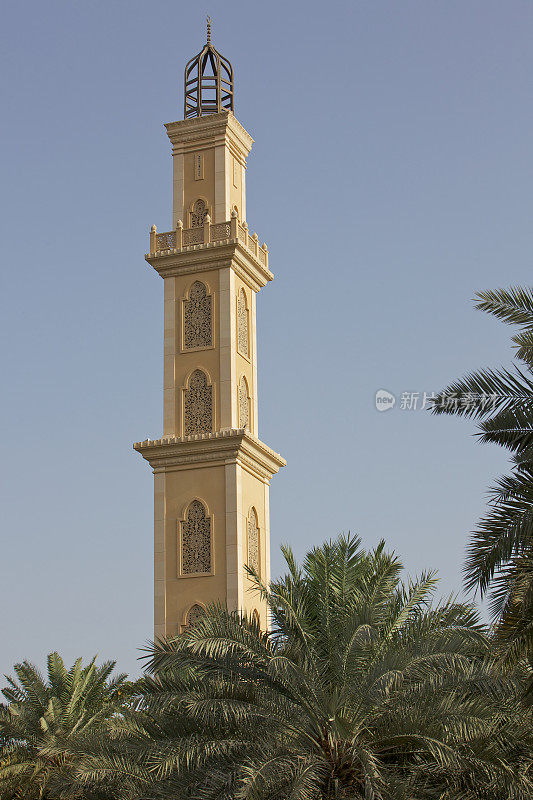 迪拜——尖塔和棕榈树