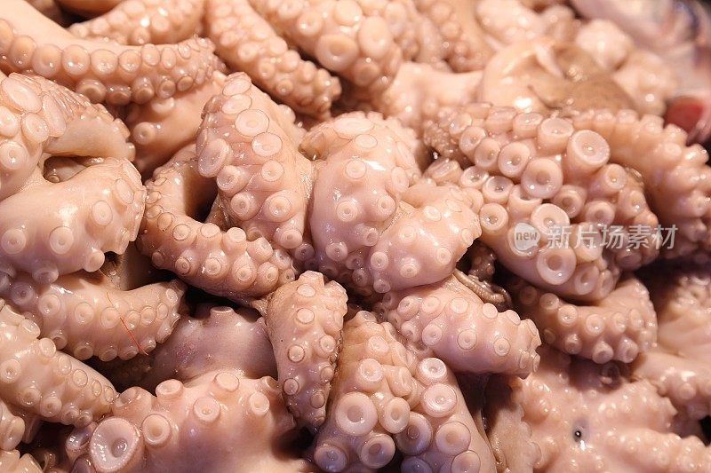 鲜鱼市场上的地中海西恩鱿鱼章鱼