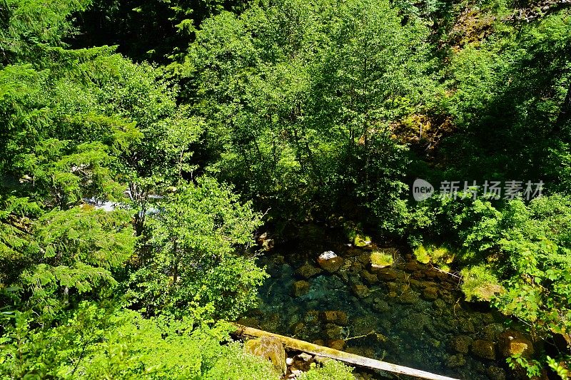 上麦肯齐河场景