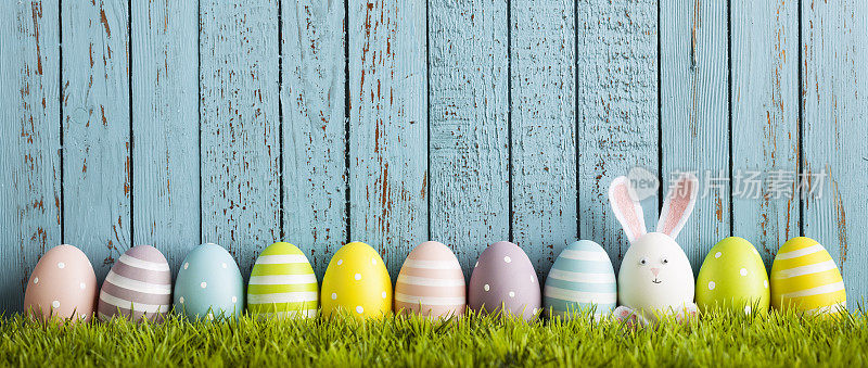 草地上有趣的复活节彩蛋兔子