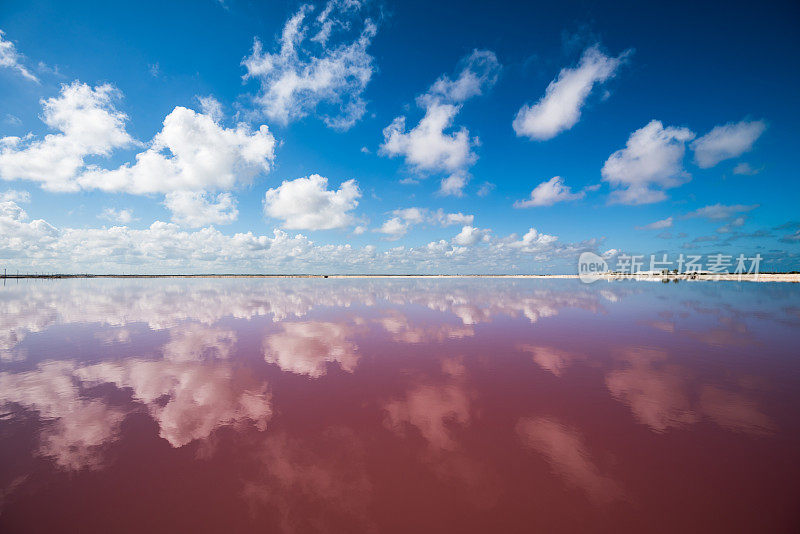 墨西哥尤卡坦半岛的拉斯科罗拉达斯的盐粉泻湖
