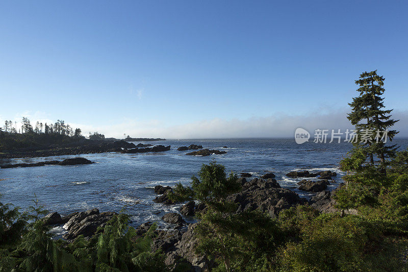 Ucluelet,温哥华岛