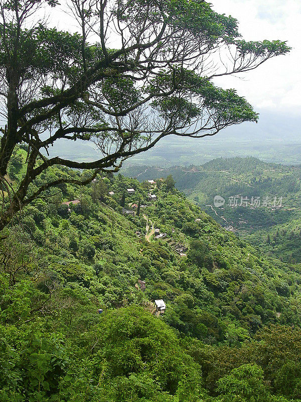 退化的森林和咖啡种植园，圣胡安西托拉蒂格拉洪都拉斯