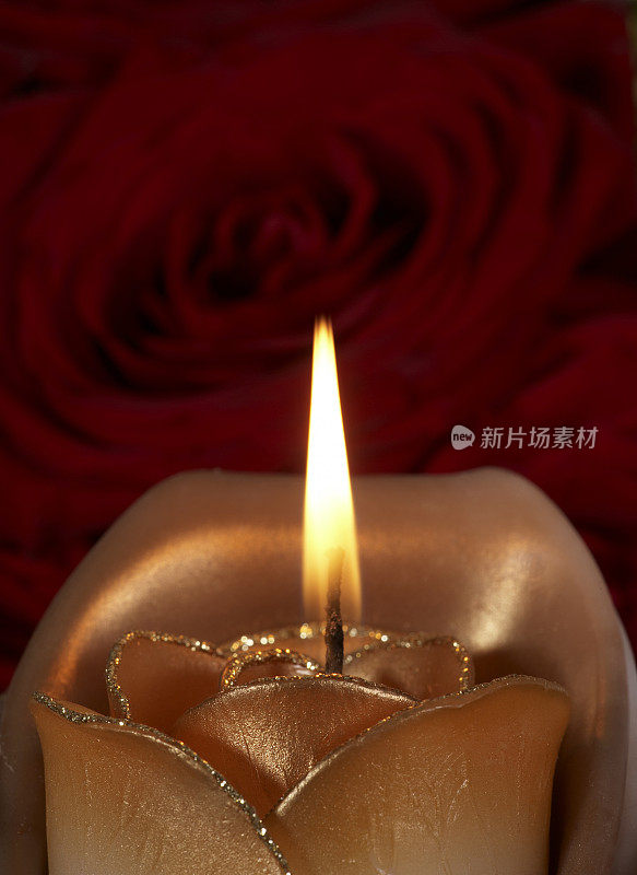 红色背景上燃烧着金色的玫瑰蜡烛