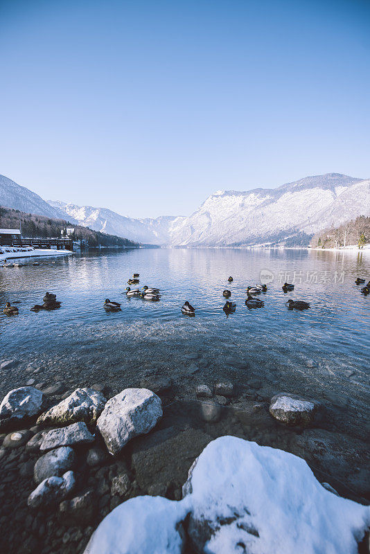 Bohinj湖的冬天