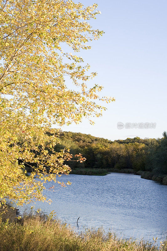 爱荷华州的秋天河景