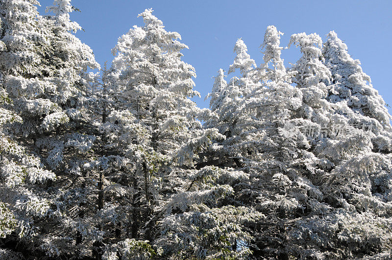 阿巴拉契亚山脉的第一场雪